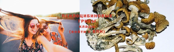 бутират Пересвет