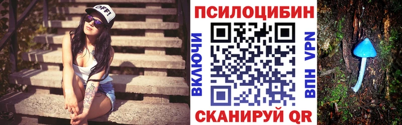 как найти закладки  Болхов  Галлюциногенные грибы прущие грибы 